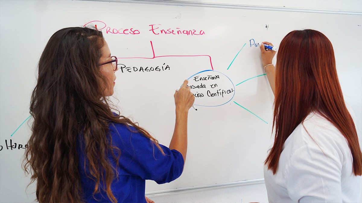 PEDAGOGÍA CON ACENTUACIÓN EN ACENTUACIÓN ESCOLAR E INCLUSIÓN