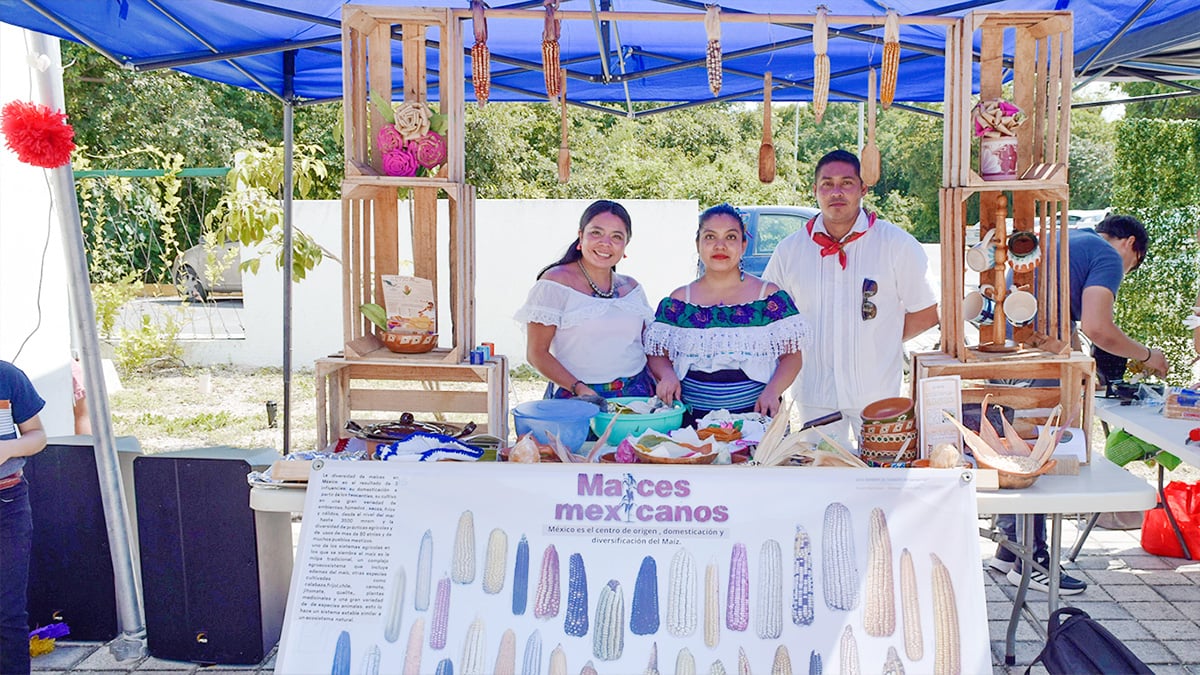 Emprendimiento- Universidad Riviera