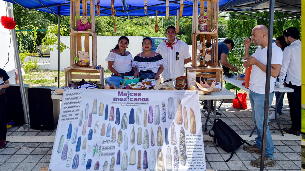 Emprendimiento e Innovacion