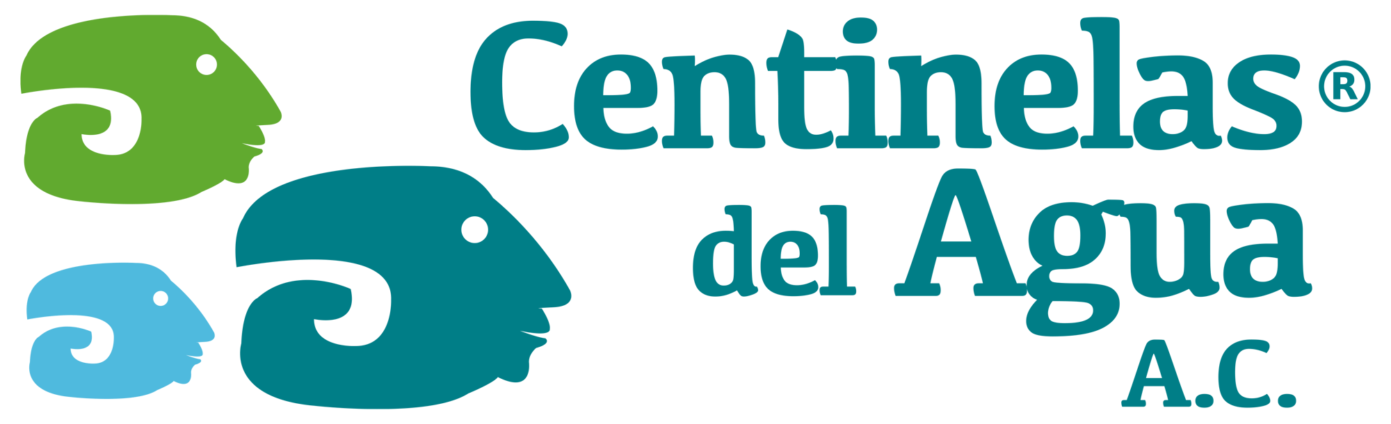CENTINELAS DEL AGUA