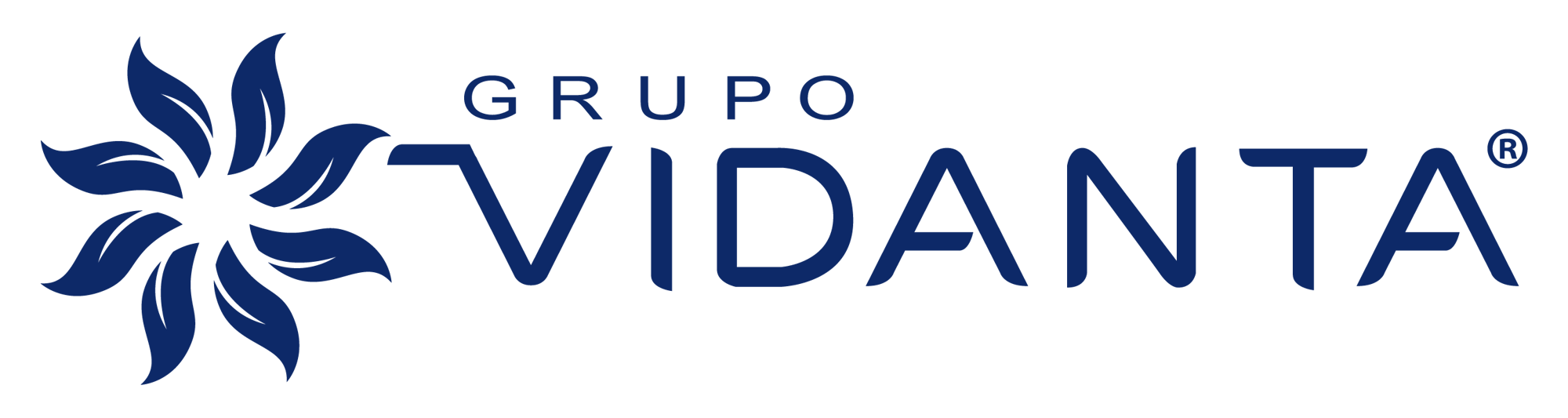 GRUPO VIDANTA