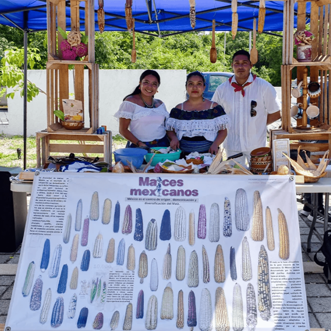comunidad riviera
